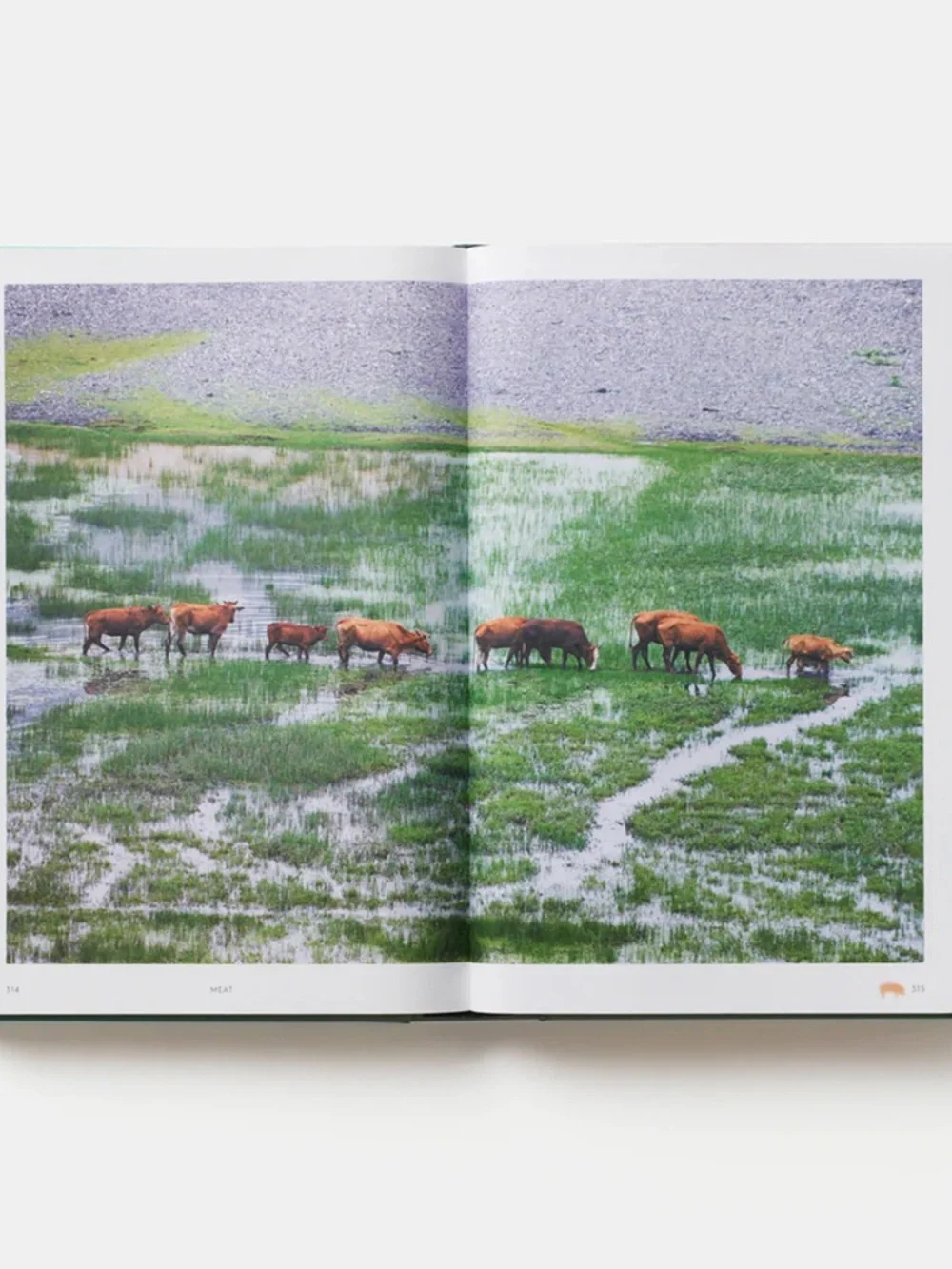 China: The Cookbook by Kei Lum Chan and Diora Fong Chan